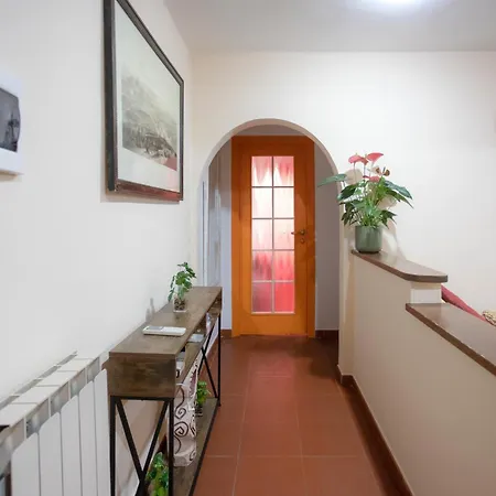 Domus Serpenti - Colosseum